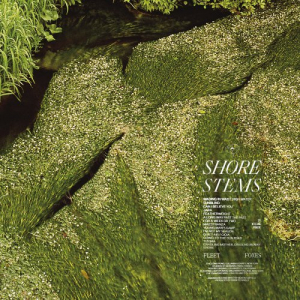 Shore (Stems Edition)