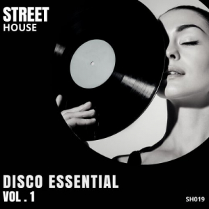 Disco Essential Vol. 1