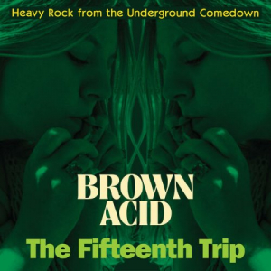 Brown Acid: The Fifteenth Trip (Heavy Rock From The Underground Comedown)