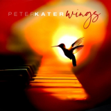 Peter Kater - Wings '2019