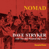 Dave Stryker - Nomad '1995