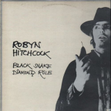 Robyn Hitchcock - Black Snake Diamond Role '1981 (2007)