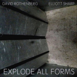 David Rothenberg - Explode All Forms '2020