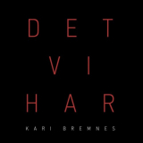 Kari Bremnes - Det Vi Har [LP] '2018 (2017)