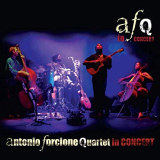 Antonio Forcione Quartet - Antonio Forcione Quartet: In Concert '2007/2011