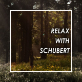 Franz Schubert - Relax With Schubert '2021