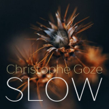 Christophe Goze - Slow '2022