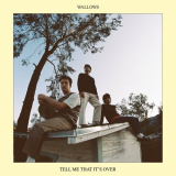 Wallows - Tell Me That Itâ€™s Over '2022