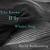 David Rothenberg - Who Knows Why Whales Sing '2022