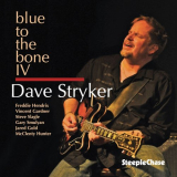 Dave Stryker - Blue To The Bone IV '2013