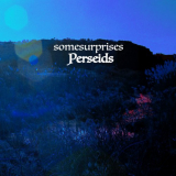 somesurprises - Perseids '2024