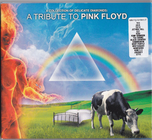 A Collection of Delicate Diamonds - A Tribute to Pink Floyd