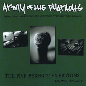 The Five Perfect Exertions (12)