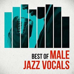 The Best Jazz  Male Vocals Vol.#29. Compilations By Sk