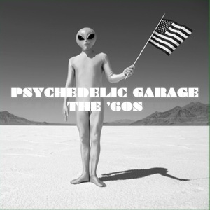 Psychedelic Garage The 60s