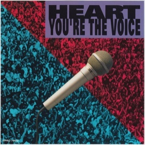 You're The Voice (Studio Version)