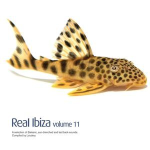Real Ibiza Vol. 11