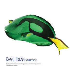 Real Ibiza Vol. 8