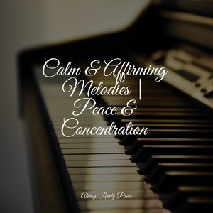 Calm & Affirming Melodies | Peace & Concentration