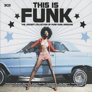 This Is Funk (The Juiciest Collection Of Pure Funk Grooves)