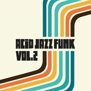 Acid Jazz Funk Vol. 2