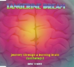 Journey Through A Burning Brain (CD3)
