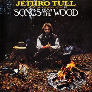 Songs From The Wood (mfsl Udcd 734)