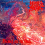 Morbid Angel - Blessed Are The Sick '1991