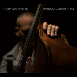 Avishai Cohen Trio - From Darkness (24 bit) '2015