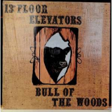 13th Floor Elevators - Bull Of The Woods '1969