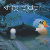King Eider - Somateria Spectabilis '2006