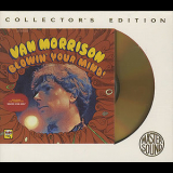 Van Morrison - Blowin' Your Mind! '1967