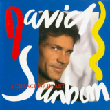 David Sanborn - A Change Of Heart '1987