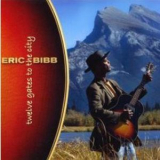 Eric Bibb - Twelve Gates To The City '2006