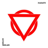 Enter Shikari - Radiate  '2013