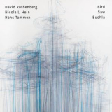 David Rothenberg, Nicola L. Hein, Hans Tammen - Bird Saw Buchla '2018