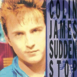 Colin James - Sudden Stop '1990