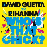 David Guetta - Who's That Chick?  '2010