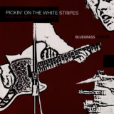 Pickin' on Series - Pickin' On The White Stripes : A Bluegrass Tribute - Banjo Army for a Bluegrass Nation '2005