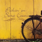 Pickin' on Series - Pickin' on Sara Evans: A Bluegrass Tribute '2005