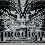 The Prodigy - Charly / Everybody In The Place '1992