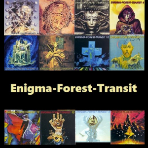 Enigma-Forest-Transit