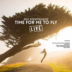 Time For Me To Fly (Live)