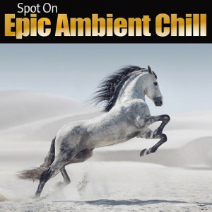 Spot On: Epic Ambient Chill