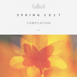 Bullfinch Spring Compilation 2017