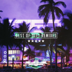 Best Of Olej Remixes Vol.2