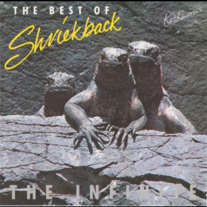 The Best Of Shriekback: The Infinite