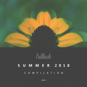 Bullfinch Summer Compilation 2018
