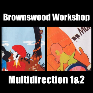 Brownswood Workshop: Multidirection Vol.1-2