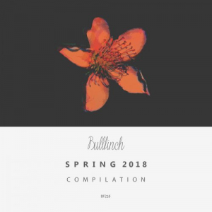 Bullfinch Spring 2018 Compilation
